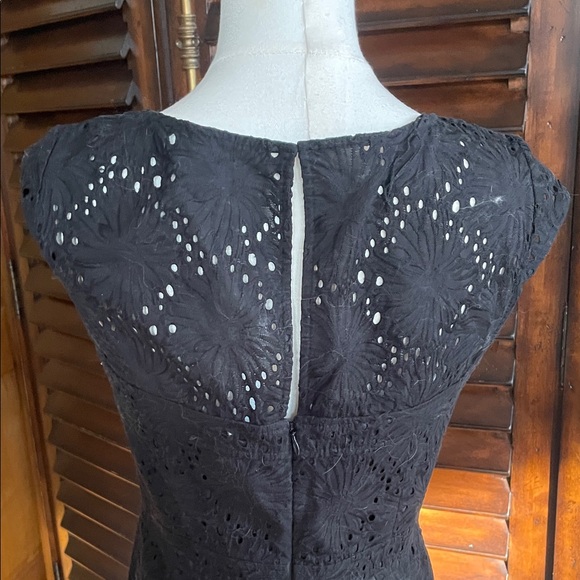 Adrianna Papell Elegant Black Eyelet Dress Lined NWOT Size 4 Fit and Flare - Picture 9 of 10